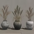 Three Ceramic Vases With Dried Pampas Grass On Wooden Floor And Gray Wall