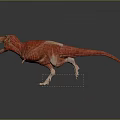 Red Tyrannosaurus Rex 3D Model With Anatomical Details Open Mouth And Sharp Teeth