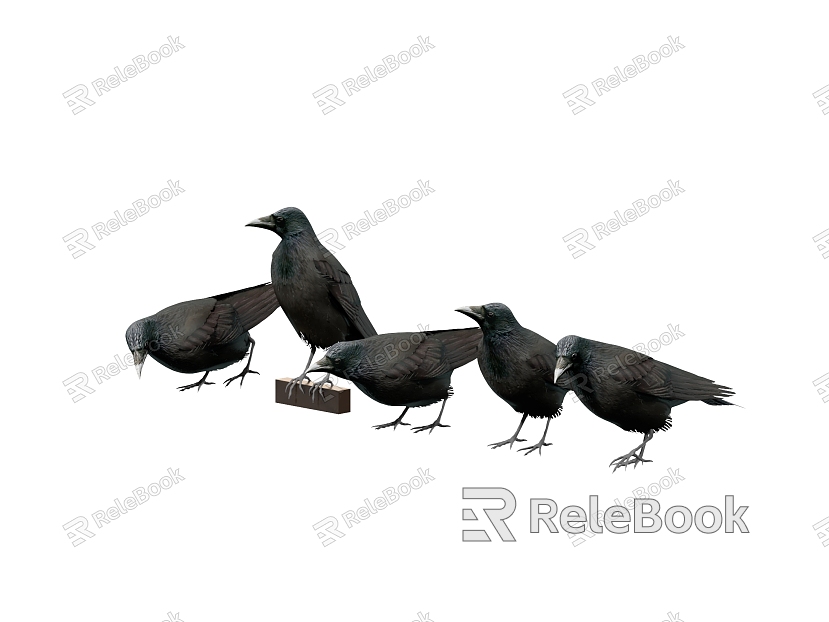 Bird Crow model