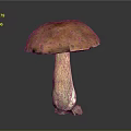 Fresh Edible Mushroom With Red Cap And Brown Stem On Dark Background