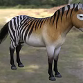 Realistic 3D Model Of Striped Zebra Tailed Lizard In Natural Grassland Habitat