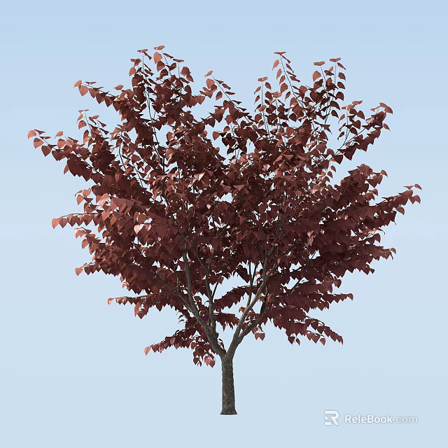 Lush Arbor With Vibrant Deep Red Leaves Standing Against Light Blue Sky Background 3d model 