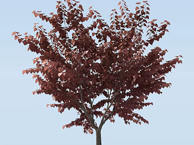 Lush Arbor With Vibrant Deep Red Leaves Standing Against Light Blue Sky Background 3d model