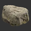 Natural Wood Stone With Rough Textured Surface And Green Moss Accents