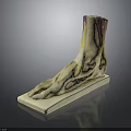 Anatomical Foot Organ Model Showing Muscles Vessels And Hair Structure