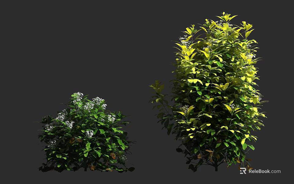 Short Shrubs with White Flowers and Tall Shrubs with Lush Green Leaves 3d model 