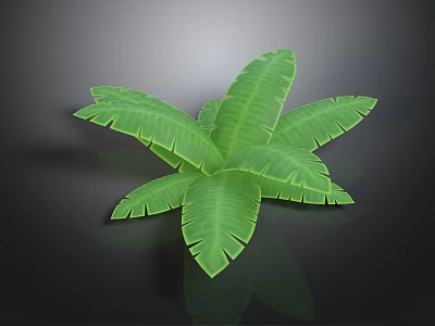 Large Green Tropical Leaves With Vibrant Veins For Interior Decoration 3d model