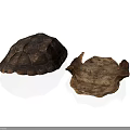Intact and Broken Turtle Shells Showing Natural Texture on White Background 3d model
