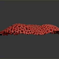 Healthy Vibrant Red Coral Polyps With Honeycomb Structure In Ocean Habitat