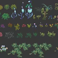 Various Plant Illustrations with Different Colors Shapes and Foliage on Dark Background