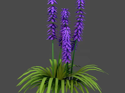 Elegant Herb Plant With Purple Flowers And Long Green Leaves 3d model