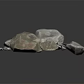 Natural Wooden Stone Samples with Gray White Color Green Brown Texture Various Sizes and Shapes