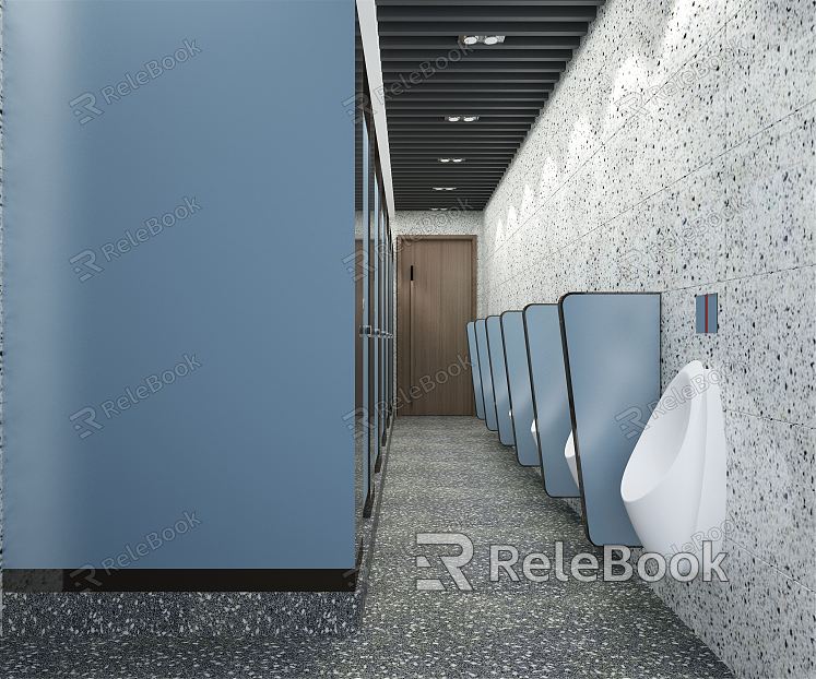 Modern toilet model