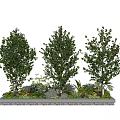 Lush Green Shrubs Planted In Rectangular Planter With Various Green Plants And Fresh Foliage