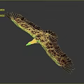 Flying Eagle With Brown And White Feathers Against Grey Background 3d model