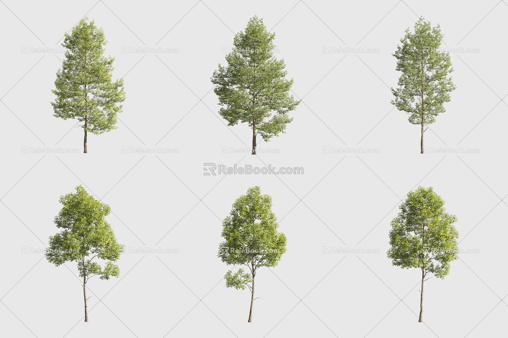 Leaflet Tilia European Tilia Landscape Tree 3d model