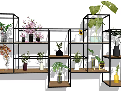 Open Black Metal Shelves Display Various Vases With Different Flowers And Plants For Indoor Decoration 3d model