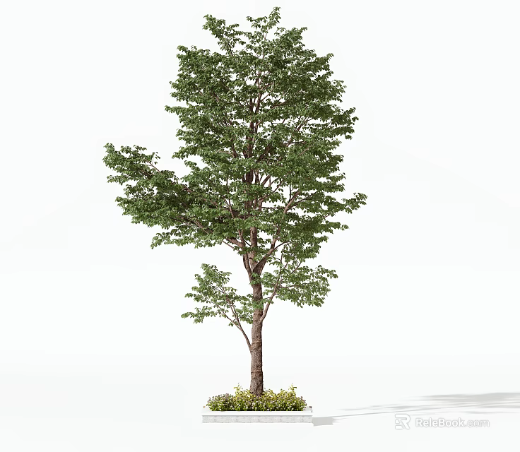 Lush Green Arbor With Healthy Foliage And Strong Trunk In Natural Setting 3d model 