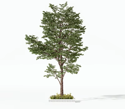 Lush Green Arbor With Healthy Foliage And Strong Trunk In Natural Setting 3d model