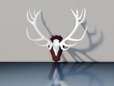Modern Hinged Door Interior Design with Antler Decoration Light Wall and Blue Countertop 3d model