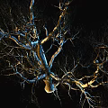 Modern Tree Big Tree 3d model