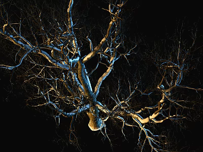 Leafless Tree With Branches Illuminated By Blue And Yellow Lights Against Black Background 3d model
