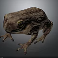 Realistic 3D Frog Model With Reddish Brown Spotted Skin And Yellow Eyes On Gray Background