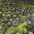 Numerous Moss Covered Stone Landscape Sculptures In Lush Green Natural Setting