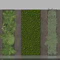 Modern Green Wall Design With Concrete Sections And Lush Green Plants