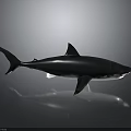 Metallic Shark Swimming Pose With Detailed Fins Dark Background Clear Reflection