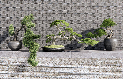 New Chinese Bonsai Pine Bonsai 3d model