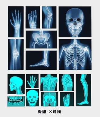 modern medicine bone x-ray human body CT medical examination head hand leg joint bone skull 3d model