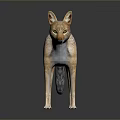 Realistic 3D Wild Jackal Figure with Gray Blue Brown Fur Standing on Dark Surface