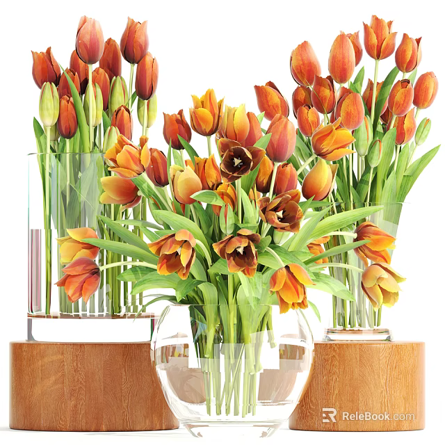 Transparent Glass Vases With Orange And Red Tulips On Wooden Bases 3d model 