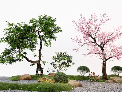 Plant Combination With Green Leaf Tree Pink Flowering Tree Small Shrubs Stones And Grass 3d model