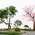 Modern courtyard landscape tree peach tree modeling tree micro terrain stone 3d model