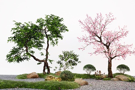 Modern courtyard landscape tree peach tree modeling tree micro terrain stone 3d model