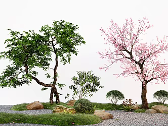 Modern courtyard landscape tree peach tree modeling tree micro terrain stone 3d model
