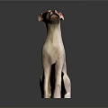 Artistic Sitting Dog Sculpture With White Fur And Brown Spots On Dark Backdrop