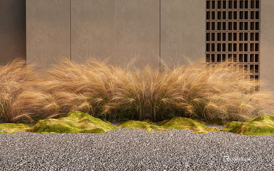 Golden Grass and Green Moss in Front of Gray Wall Grid Window and Gravel Ground 3d model 