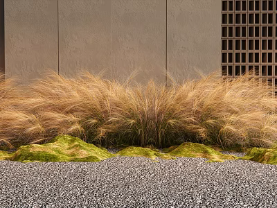 Golden Grass and Green Moss in Front of Gray Wall Grid Window and Gravel Ground 3d model