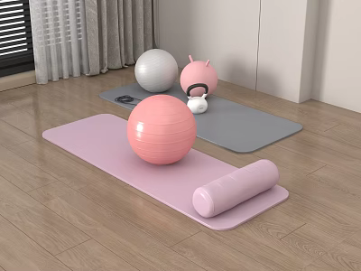 Home Fitness Equipment Including Pink Gray Yoga Mats Yoga Balls Foam Roller On Wooden Floor 3d model