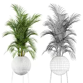 Lush Green Potted Plants With White Pots And Metal Stand For Indoor Decor