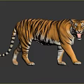 3D Rendered Tiger with Orange Fur Black Stripes Open Mouth on Black Background Ground Reflection