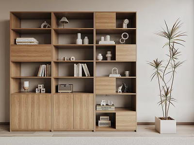 Wooden Bookcase Interior Design With Shelves Books Decorative Items And Potted Plant 3d model
