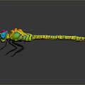 Colorful Dragonfly With Vibrant Colored Mesh Pattern Wings And Colorful Body