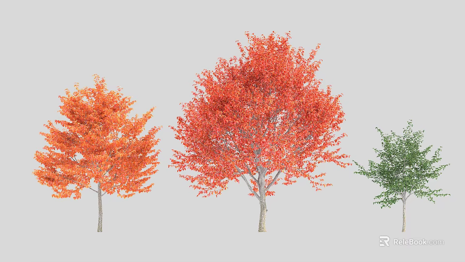 Three Vibrant Arbors With Orange Red Green Leaves In Landscape Design 3d model 