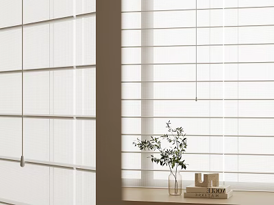 Modern White Window Blinds In Interior With Potted Plant And Stacked Books 3d model