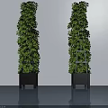 Tall Green Potted Plants in Black Square Pots Against White Wall and Smooth Floor