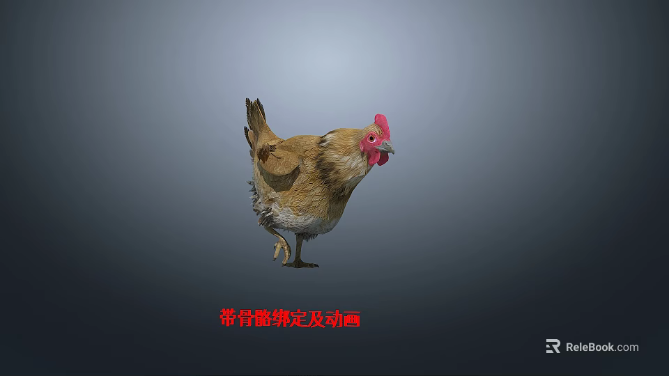Realistic 3D Animated Chicken Model With Rigged Skeleton And Movements 3d model